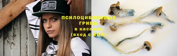 гашишное масло Касимов