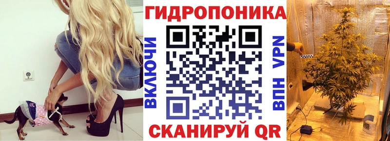 Купить где  Десногорск  Бошки Шишки планчик 
